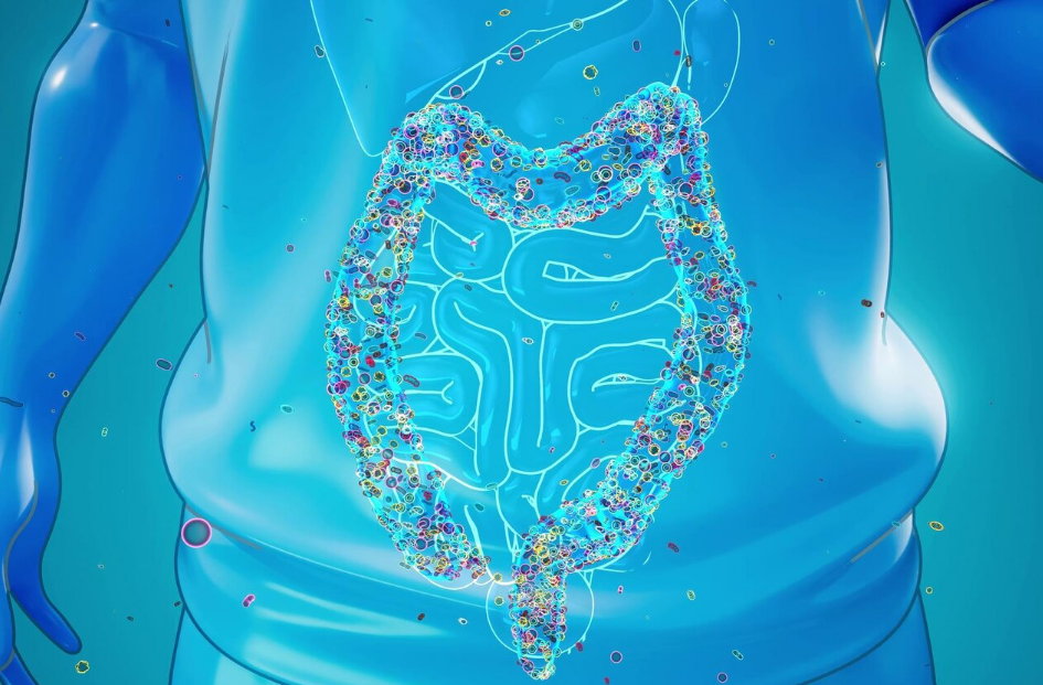 Kalın Bağırsak Hastalıkları